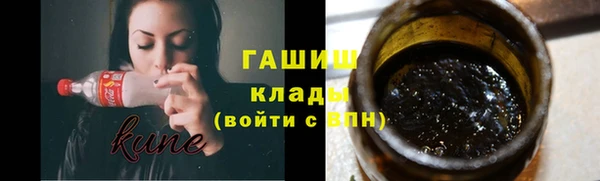 индика Арсеньев