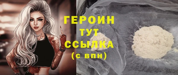 индика Арсеньев