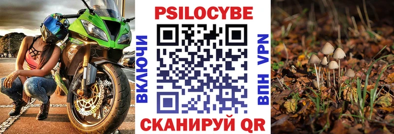 наркота  Певек  Псилоцибиновые грибы MAGIC MUSHROOMS 
